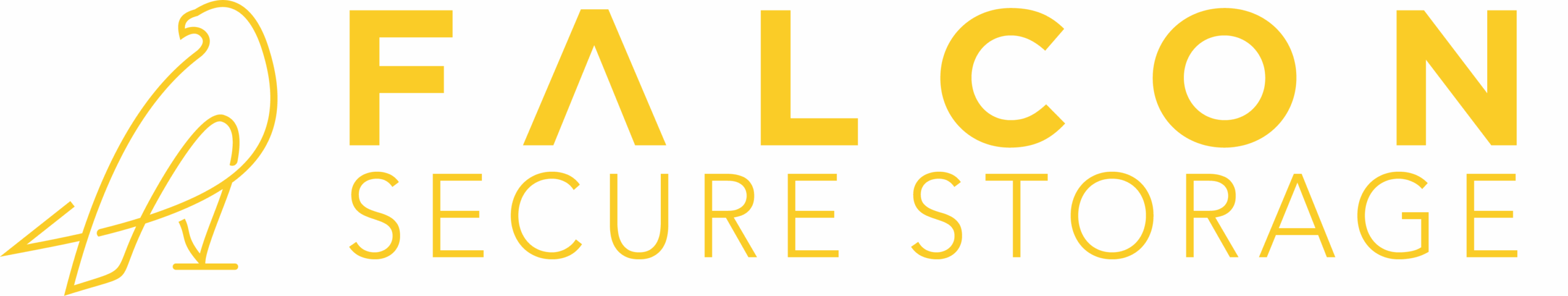 Falcon Storage – Gold@4x